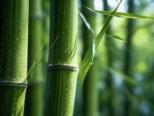 優雅な竹：中国の竹製品の文化の復活と繁栄